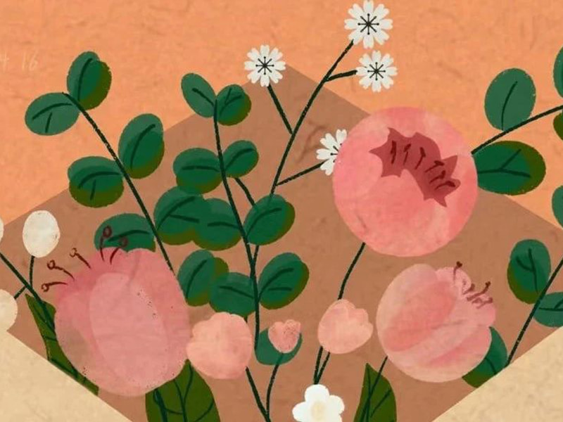 Een brief aan de familie van Jufeng