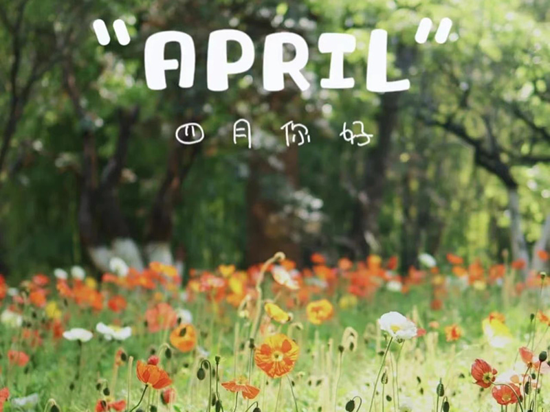 Verjaardagswensen丨Gefeliciteerd met je verjaardag voor degenen die in april zijn geboren